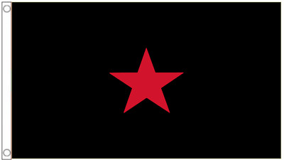 Rage Against The Machine Polyester 5'x3' Flag