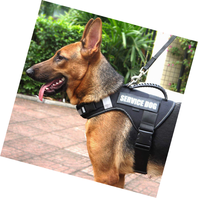 truelove dog harness instructions