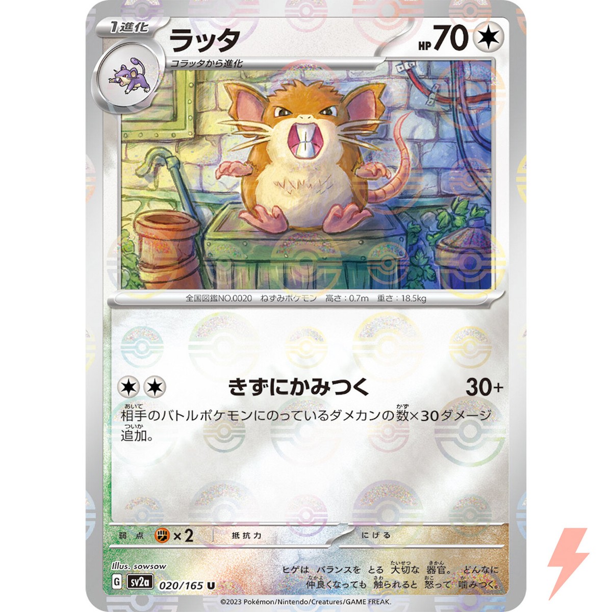 ポケモンカードゲーム Reserved (RAKUTAO) Raticate (Reverse Holo) U 020/165 SV2a Pokémon Card 151 - Pokemon