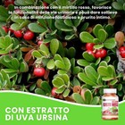 Foto 4 di 8