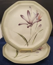 Set of 2 Mikasa Twice Nice Dinner Plates LK