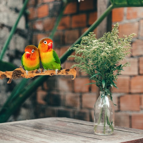 2 vente en gros Pcs Bird Stand Pole Toys Wooden Plaything Compact Parrot Perch