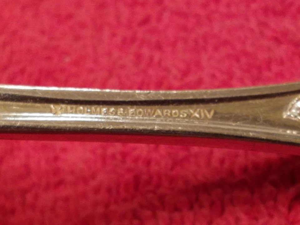 Cucharón plateado Homes & Edwards Luis XIV Foto 2 de 4