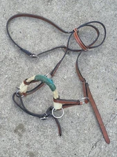 Horse Bridle Leather with chrome hardware 