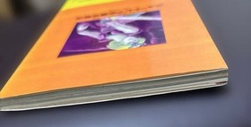 Strategy Guide First Edition] PCE Neutopia FreyChapter Guaranteed Victory
