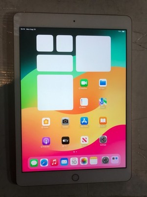 Apple iPad 7th Gen 32GB Rose Gold WiFi Only  MW762LL/A Service Battery#599