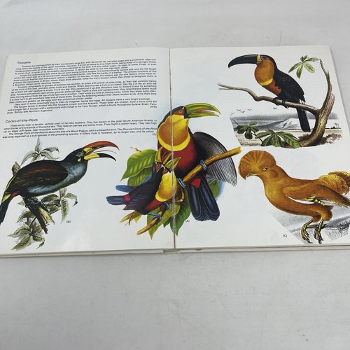 World Treasury of Birds in Color Cecil Madsen 1974 HC Audubon Gould Engravings - Picture 11 of 14