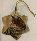 American Shorthaired Cat Porcelain Star Shaped Christmas Ornament New