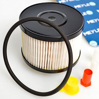 Meyle 7143230004 Kraftstofffilter FüR Fiat Peugeot Ford CitroËN Volvo Lancia