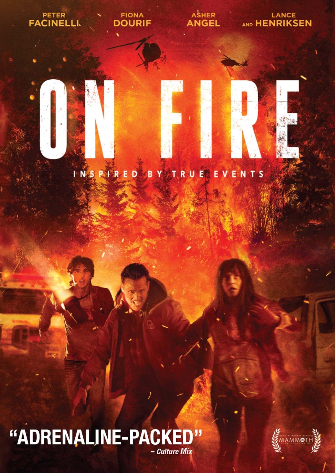 On Fire (DVD) Peter Facinelli Fiona Dourif Asher Angel Lance Henriksen