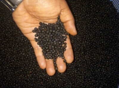  Ceylon Black Pepper , Whole Peppercorns 