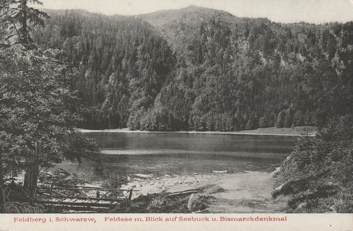 Alte Ansichtskarte 4757 - Feldberg i. Schwarzw. - Feldsee mit Blick auf Seebuck