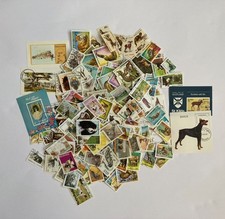 Job lot of 200+ stamps. Theme: animals. Various countries. Cats, dogs, wildlife
