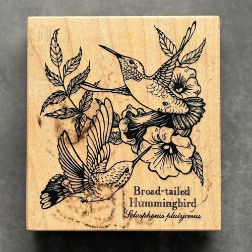 PSX Broad-tailed Hummingbird Rubber Stamp Trumpet Vine Flower Garden Card K-1464