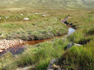 Photo A2 The upper reaches of the Rowan Tree River Bannvale  c2016