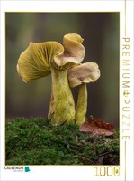 Calvendo Puzzle Schwefelritterling | 1000 Teile Lege-GrößE 64 × 48 Cm Foto-Puzzl
