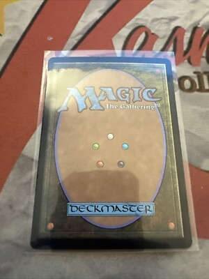 MTG Bloomburrow Lilypad Village Foil 0255 NM | eBay