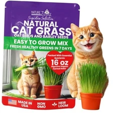  Premium Cat Grass Seeds for Indoor Cats, Non GMO - 1 lb Oat & Barley 1 Pound