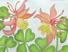PAINTING WATERCOLOR 11X14 & DOUBLE MAT 16X20 FLOWERS COLUMBINE PINK YELLOW CORAL