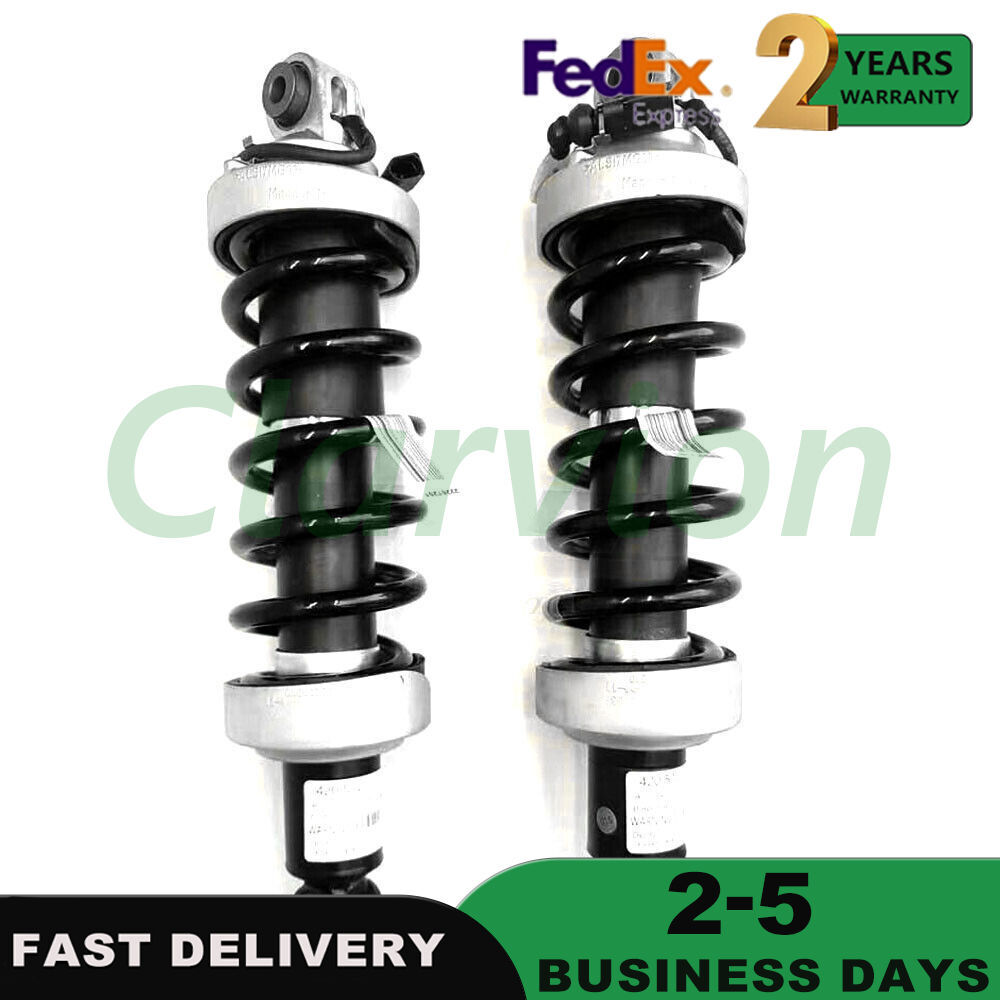 2x Rear Shock Absorber Struts w/Magnetic Ride For Audi R8 V8 420512019 2007-2015