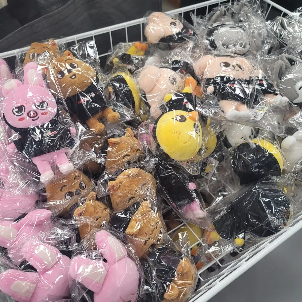 STRAY KIDS x SKZOO plush mini do POP-UP STORE THE VICTORY in seoul