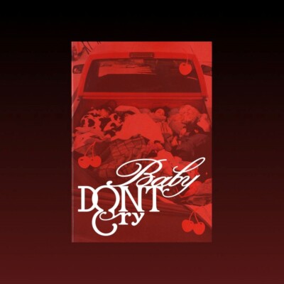 baby dont cry PHOTOBOOK 未開封　20枚　F Girl s-l400.jpg