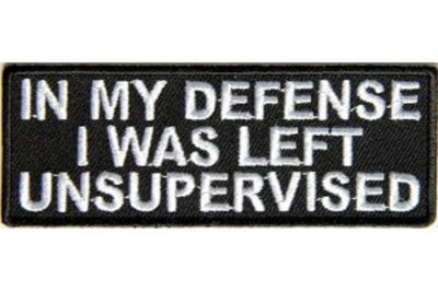 IN MY DEFENSE I WAS LEFT UNSUPERVISED EMBROIDERED PATCH**FREE SHIPPING**