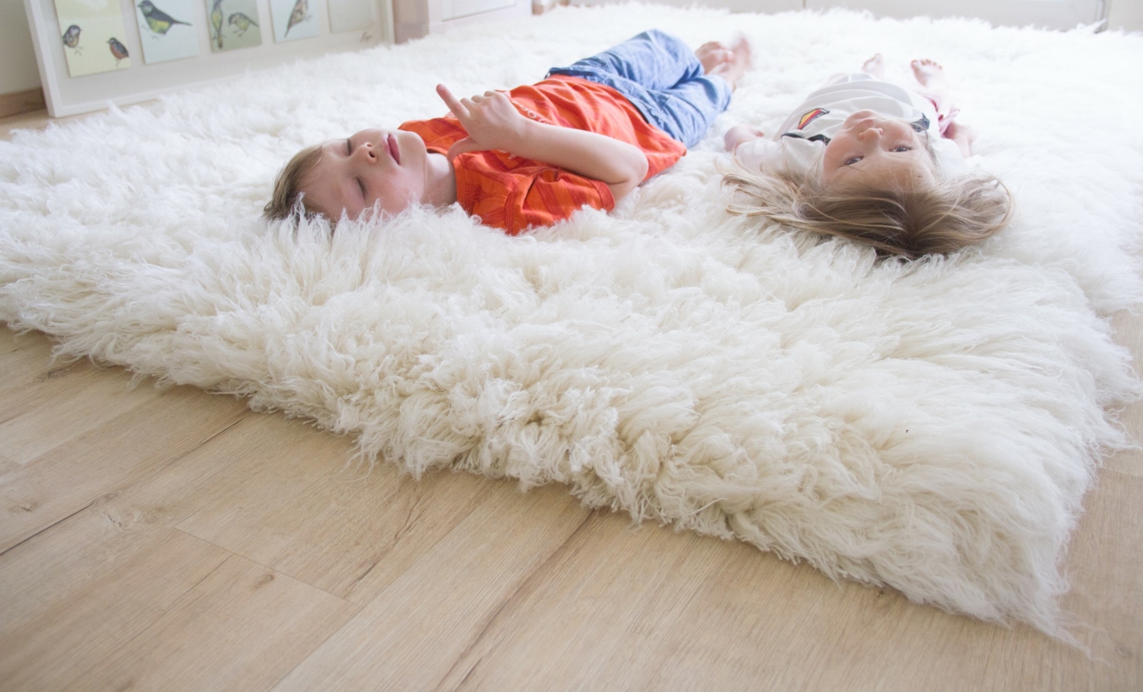 Steffensmeier Teppich 'Contemporary Comfort' – 240x340 Cm, Taupe, Hochflor Aus Polypropylen