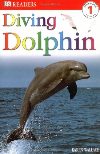 Diving Dolphin (DK Readers Level 1)-Karen Wallace