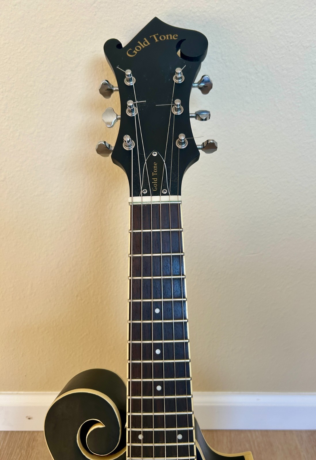 Gold Tone F-6 F-Style Mando-Guitar with Pickup and Case