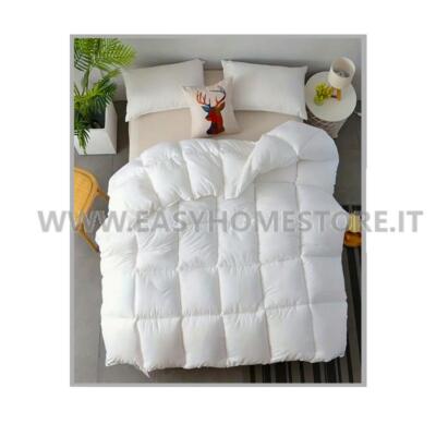 Piumino d'oca invernale piuma matrimoniale singolo antartide puro