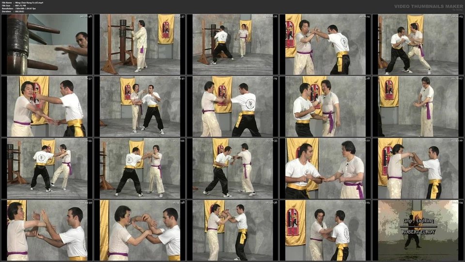 Wing Chun Kung Fu starring William Cheung (5 DVD Set) - Image 4 of 4