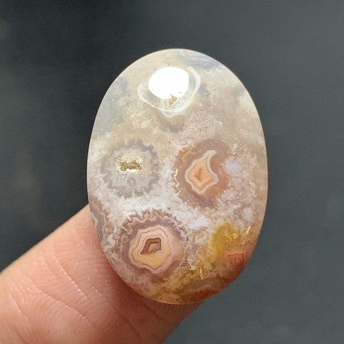 Natural Coral Fossil Cabochon 22x15x6mm High Quality 17 ct - Picture 2 of 7
