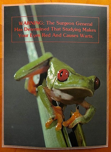 VINTAGE FUNNY GREEN FROG LAMINATED CARD OR WALL ART COMICAL SAYING 10"X8" 1970s