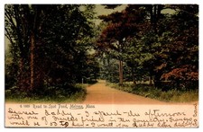 1908 Road to Spot Pond, Tree Lined Dirt Road, Scenic, Melrose, MA