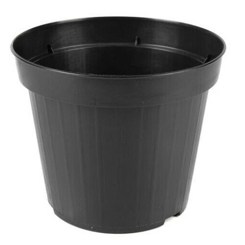24 Vasetti In Terracotta Mini Per Piante Grasse – 3,5 Cm – Ceramica Fatta A Mano – Con Foro Di Drenaggio – Fai Da Te