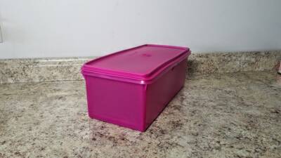 New Tupperware Jumbo Bread Server Keeper Storage Container Berry Lid