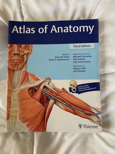 Atlas of Anatomy by Anne M. Gilroy et al. (2016, Paperback, New Edition