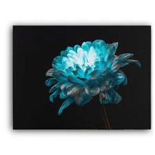 Blue White Daisy Framed Canvas Stretched Ready to Hang 50x40 Home decor Gift.