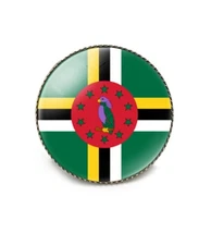 Round 1 Inch Domeanick Dominica Flag Pin International Travel Brooch Metal and G