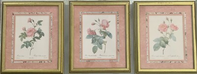 Set Of 3 Floral Botanical Prints By PJ Redoute. Roses. Professionally Framed.