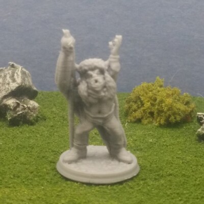 Orc/Ork Shaman 28mm miniatures  Dungeons & Dragons D&D Pathfinder TTRPG Monster
