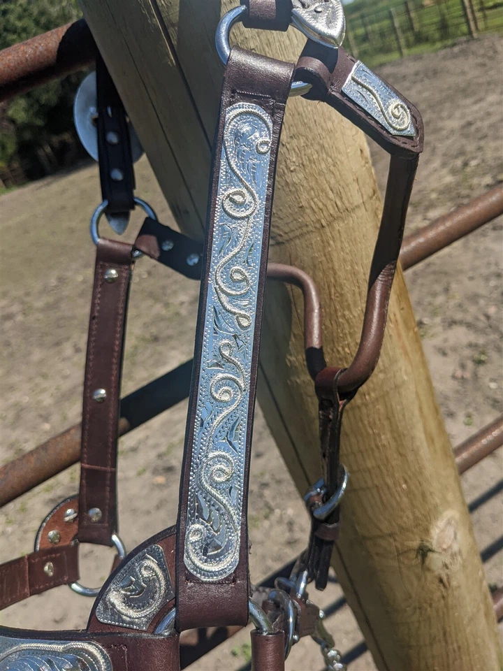 Halter Silver Show - Cuero de aceite oscuro - Diseño de cuerda tamaño de caballo - Vástago de plomo a juego Foto 2 de 4