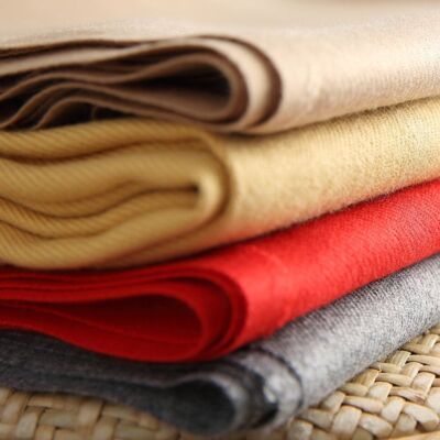 Cashmere Foulard Scarfs-Long Tassel Shawl Pure Color Women Scarf Outdoor Fashion