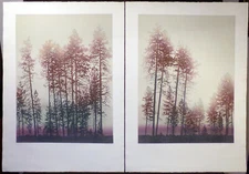 Catherine O'Connor "Backlight III & IV" Signed Numbered Art Etchings Diptych OBO