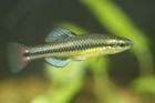 Picture 2 of 2