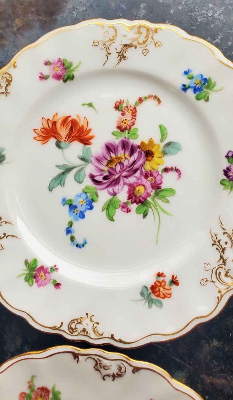 5 Richard Klemm Dresden Hand Painted Bread Plates c 1888-1916 Unique Florals!