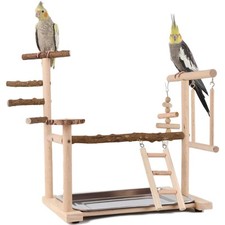 Wellensittich Spielplatz Vogel Spielplatz Holz mit Leiter Schaukel Tablett