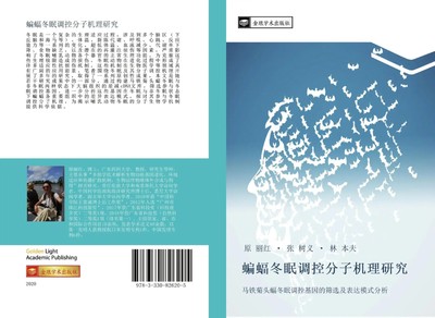 Li Hong Yuan (u. a.) | bian fu dong mian diao kong fen zi ji li yan jiu | Buch
