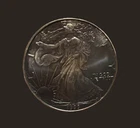 U.S. Mint 1991 American Eagle $1 1 oz .999 Fine Silver Coin Business Uncert